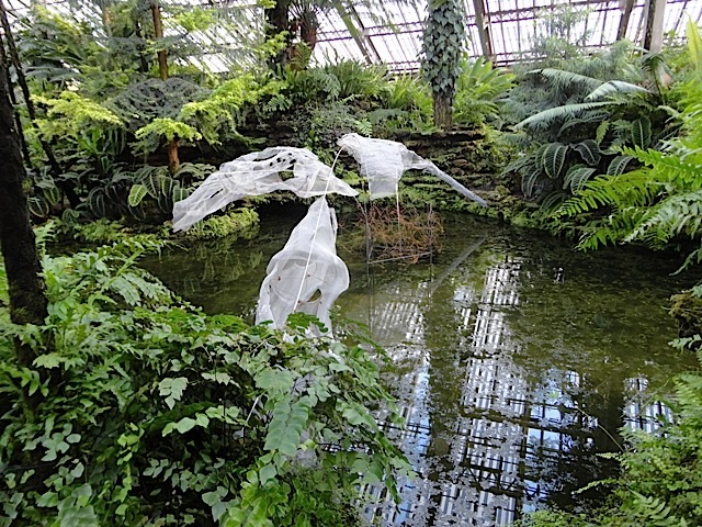 Fern Room pond installation C